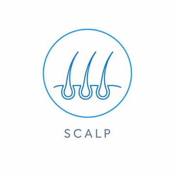 PRP microneedling treatment region: scalp